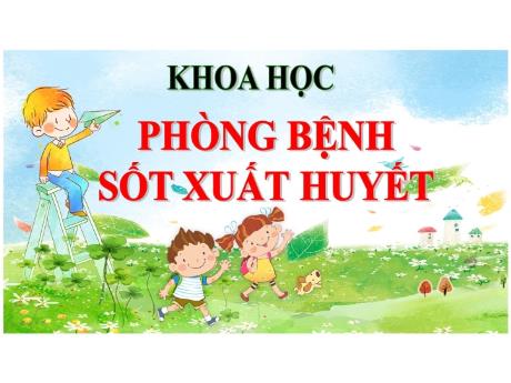 Bài giảng Khoa học 5 - Bài 13: Phòng bệnh sốt xuất huyết - Lê Thị Kiều