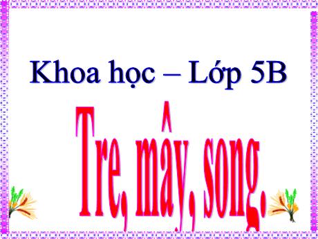 Bài giảng Khoa học 5 - Bài 22: Tre, mây, song - Lê Thị Kiều