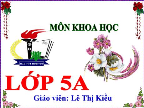 Bài giảng Khoa học 5 - Bài 23: Sắt, gang, thép - Lê Thị Kiều