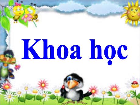 Bài giảng Khoa học 5 - Bài 27: Gốm xây dựng: Gạch, ngói - Lê Thị Kiều