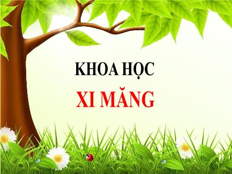 Bài giảng Khoa học 5 - Bài 28: Xi măng - Lê Thị Kiều