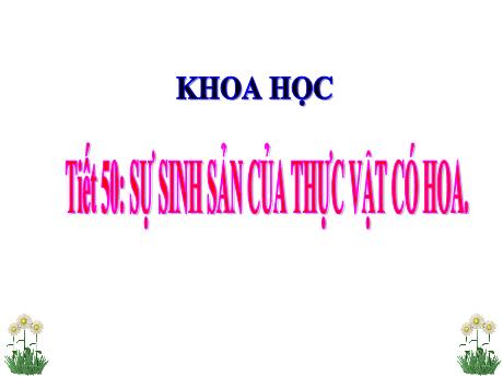 Bài giảng Khoa học 5 - Bài 52: Sự sinh sản của thực vật có hoa - Lê Thị Kiều