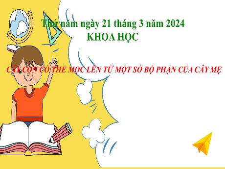 Bài giảng Khoa học 5 - Bài 54: Cây con có thể mọc lên từ một số bộ phận của cây mẹ - Năm học 2023-2024 - Lê Thị Kiều
