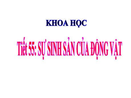 Bài giảng Khoa học 5 - Bài 55: Sự sinh sản của động vật - Lê Thị Kiều