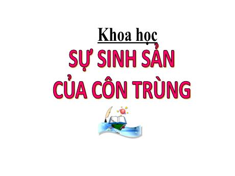 Bài giảng Khoa học 5 - Bài 56: Sự sinh sản của côn trùng - Lê Thị Kiều