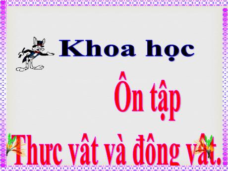 Bài giảng Khoa học 5 - Bài 61: Ôn tập Thực vật và động vật - Lê Thị Kiều