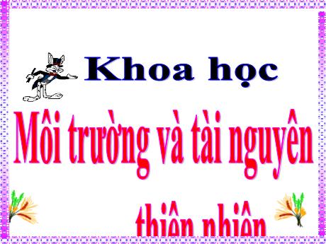 Bài giảng Khoa học 5 - Bài 62: Môi trường - Lê Thị Kiều