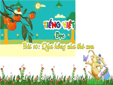 Bài giảng Tiếng Việt 3 (Tập đọc) Kết nối tri thức - Bài 10: Quả hồng của thỏ con - Trần Thị Ánh Tuyết