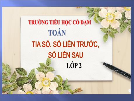 Bài giảng Toán 2 (Kết nối tri thức) - Bài 2: Tia số. Số liền trước, số liền sau (Tiết 1) - Trần Thị Ánh Tuyết