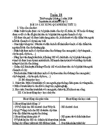 Bài giảng Tự nhiên và xã hội 1+2 (Kết nối tri thức) - Tuần 18 - Năm học 2024-2025 - Phan Thị Ánh Tuyết
