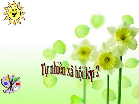 Bài giảng Tự nhiên và xã hội 2 (Kết nối tri thức) - Bài 5: Ôn tập chủ đề về gia đình - Lê Thị Kiều