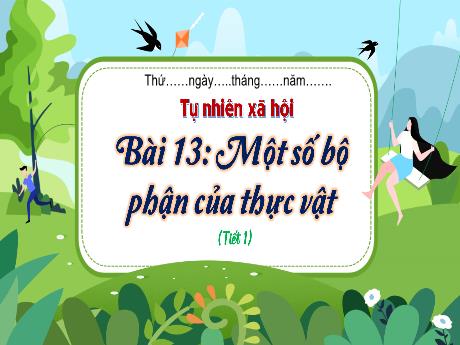 Bài giảng Tự nhiên và xã hội 3 (Kết nối tri thức) - Bài 13: Một số bộ phận của thực vật (Tiết 1) - Trần Thị Ánh Tuyết