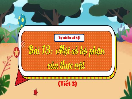Bài giảng Tự nhiên và xã hội 3 (Kết nối tri thức) - Bài 13: Một số bộ phận của thực vật (Tiết 3) - Trần Thị Ánh Tuyết