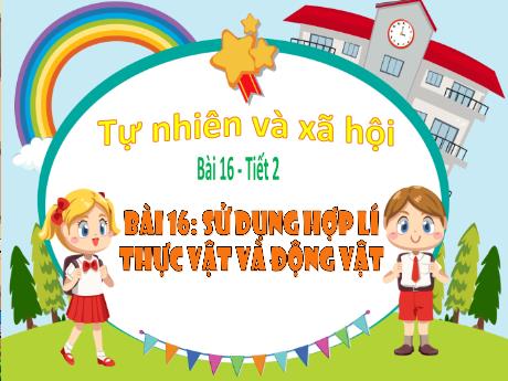 Bài giảng Tự nhiên và xã hội 3 (Kết nối tri thức) - Bài 16: Sử dụng hợp lí thực vật và động vật (Tiết 2) - Trần Thị Ánh Tuyết