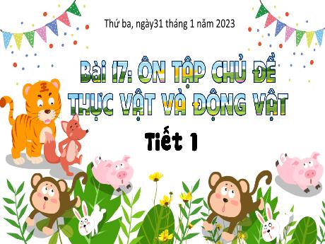 Bài giảng Tự nhiên và xã hội 3 (Kết nối tri thức) - Bài 17: Ôn tập chủ đề thực vật và động vật (Tiết 1) - Năm học 2023-2024 - Trần Thị Ánh Tuyết