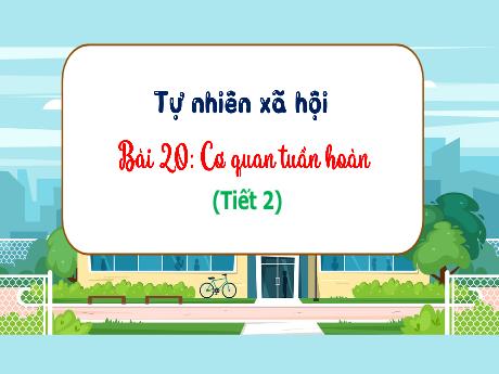 Bài giảng Tự nhiên và xã hội 3 (Kết nối tri thức) - Bài 20: Cơ quan tuần hoàn (Tiết 2) - Trần Thị Ánh Tuyết