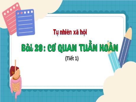 Bài giảng Tự nhiên và xã hội 3 (Kết nối tri thức) - Bài 20: Cơ quan tuần hoàn (Tiết 1) - Trần Thị Ánh Tuyết
