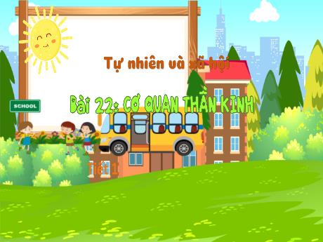 Bài giảng Tự nhiên và xã hội 3 (Kết nối tri thức) - Bài 22: Cơ quan thần kinh (Tiết 1) - Trần Thị Ánh Tuyết