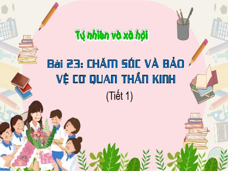 Bài giảng Tự nhiên và xã hội 3 (Kết nối tri thức) - Bài 23: Chăm sóc và bảo vệ cơ quan thần kinh (Tiết 1) - Trần Thị Ánh Tuyết