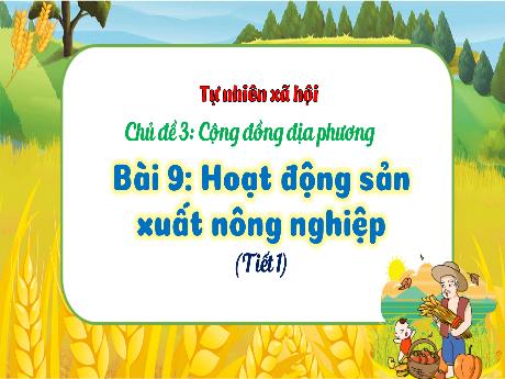Bài giảng Tự nhiên và xã hội 3 (Kết nối tri thức) - Bài 9: Hoạt động sản xuất nông nghiệp (Tiết 1) - Trần Thị Ánh Tuyết