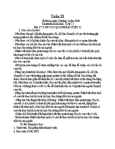 Giáo án Tự nhiên và xã hội 1+2 - Tuần 20- Năm học 2023-2024 - Phan Thị Ánh Tuyết